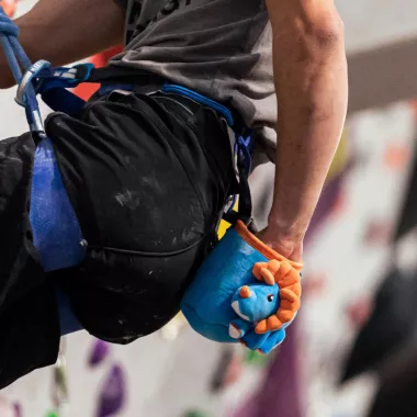 CHALK BAG TRICERATOPS