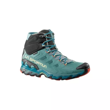 ULTRA RAPTOR II MID LEATHER GTX WMN
